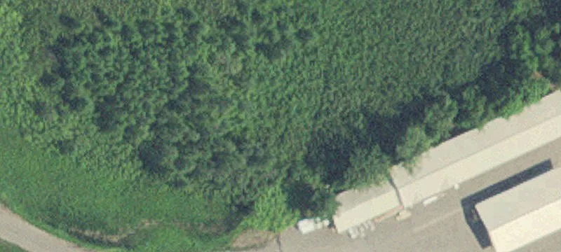 22386 State Hwy 371