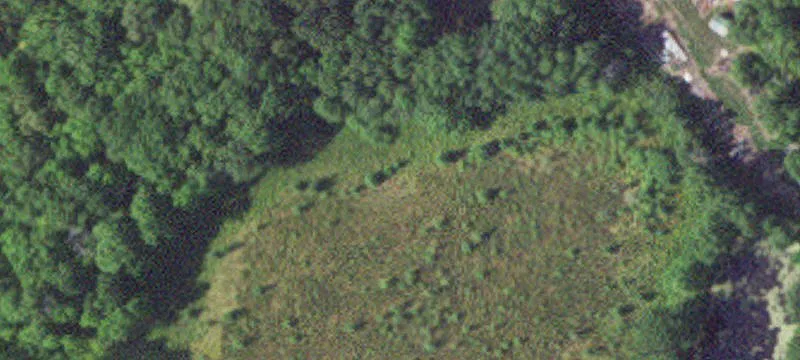 6531 Us Hwy 169