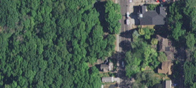 491 Bench St