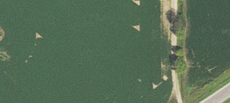 Winona, MN 55987