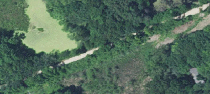 4445 Vinehill Rd
