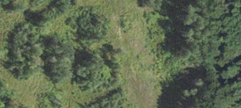 8994 Mott Pit Rd