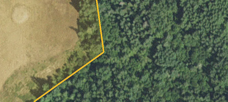 Angora, MN 55703