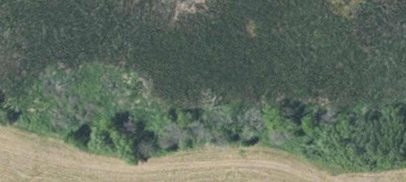 4000 Hamel Rd