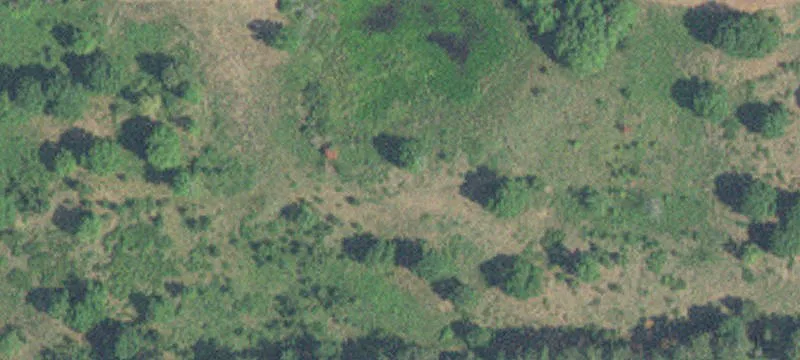 12992 Evergreen Dr