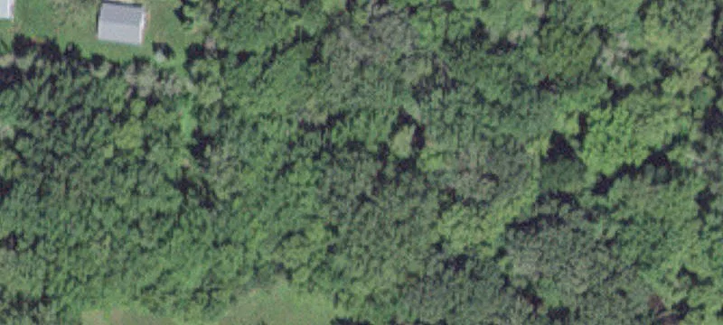 Adams, MN 55909