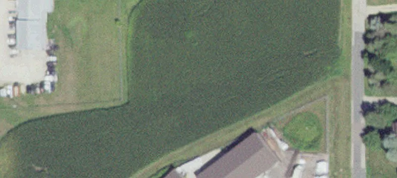Oronoco, MN 55960
