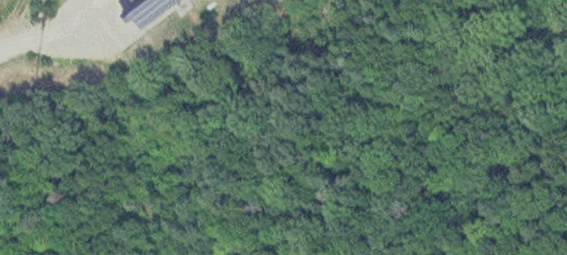 13176 State Hwy 25