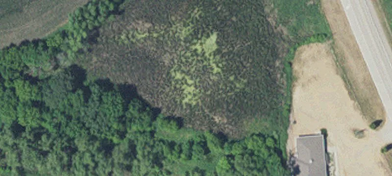 32298 State Hwy 13