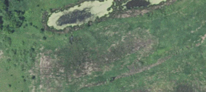 Maple Grove, MN 55369
