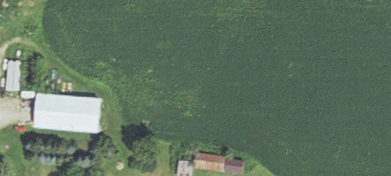 40584 County Rd 12