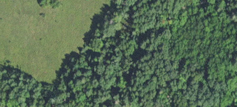 3990 County Line Rd