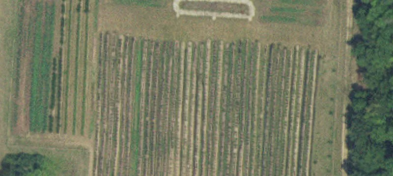 1822 County 29