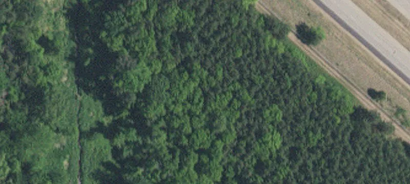Cottage Grove, MN 55016