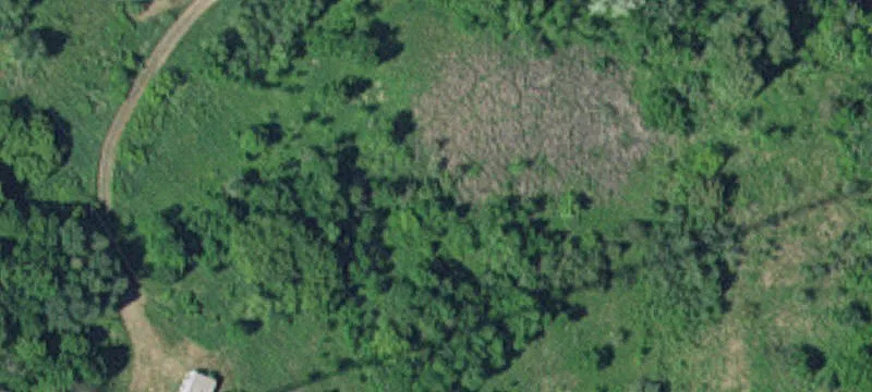 19601 County Rd 40