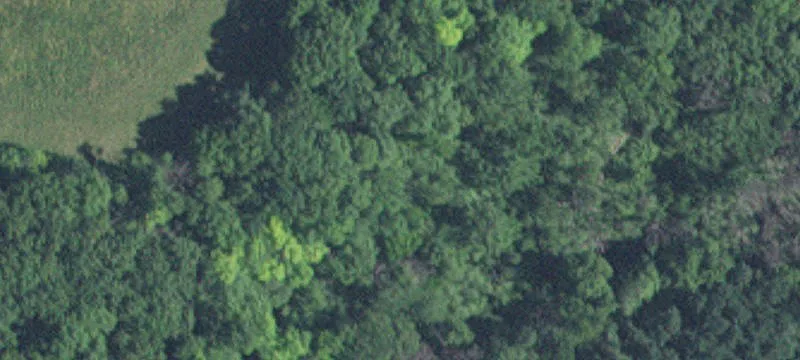 Afton, MN 55001