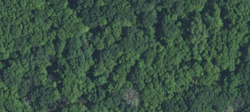 Cottage Grove, MN 55016