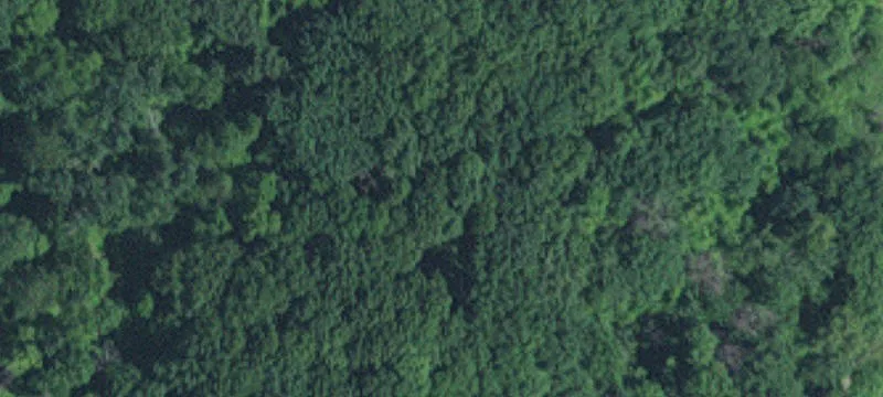 Inver Grove