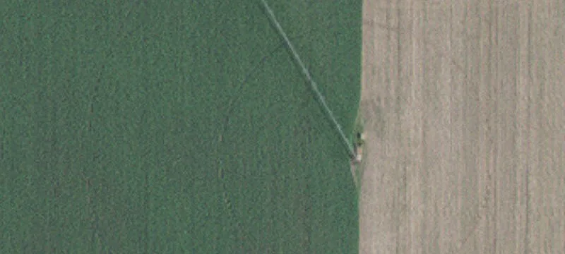 Cottage Grove, MN 55016