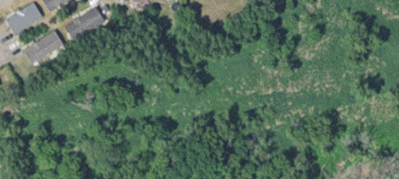 Chaska, MN 55318