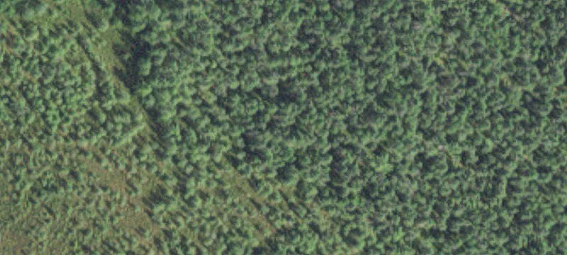 Sturgeon Lake, MN 55783