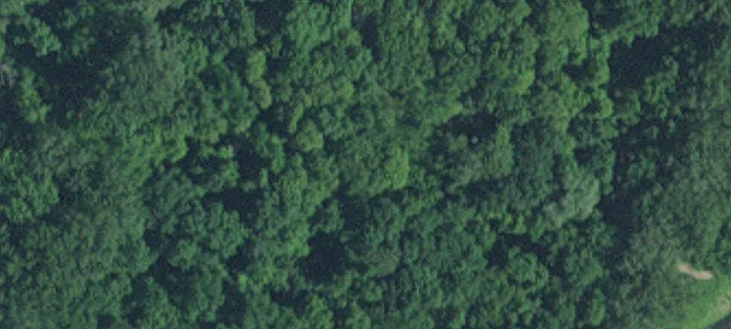 Inver Grove