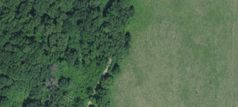 Northfield, MN 55057