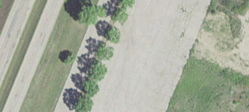 Faribault, MN 55021
