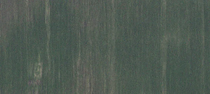 Montevideo, MN 56265