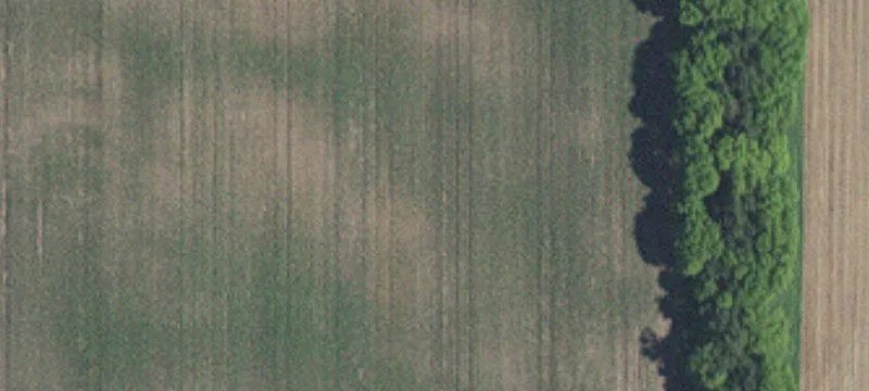 Cottage Grove, MN 55016