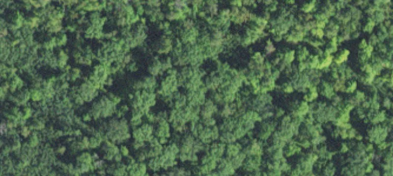 Sturgeon Lake, MN 55783