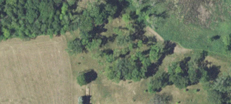 Cologne, MN 55322