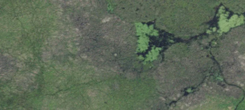 Cedar, MN 55011