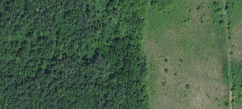 Northfield, MN 55057