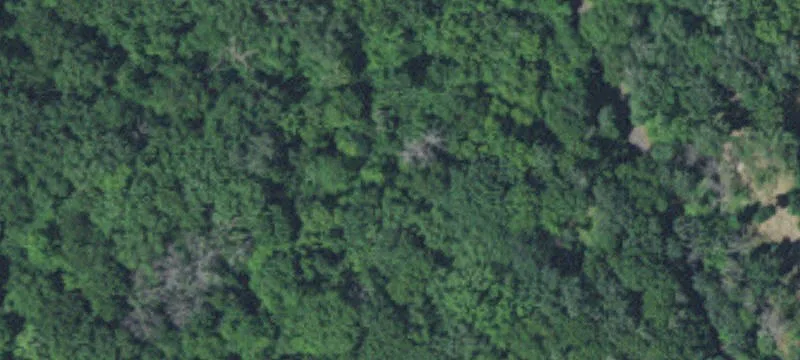 Elk River, MN 55330
