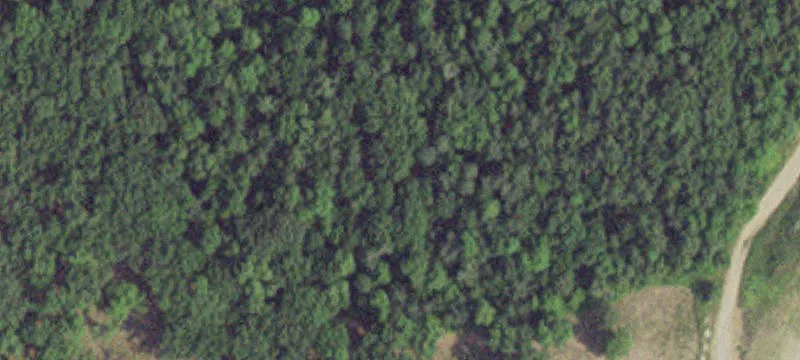 20943 County Hwy 20