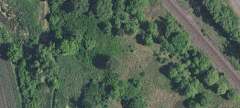 Cottage Grove, MN 55016