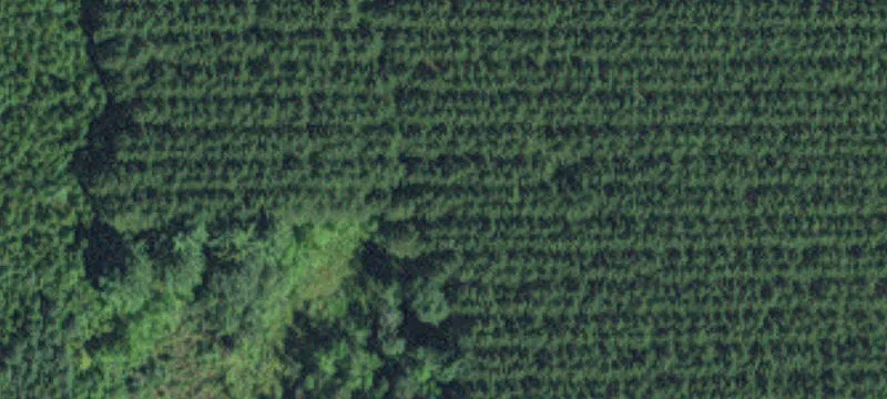 Sandstone, MN 55072