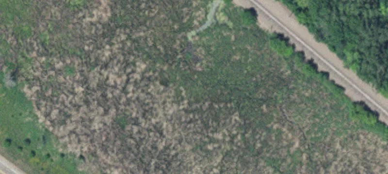 Wayzata, MN 55391