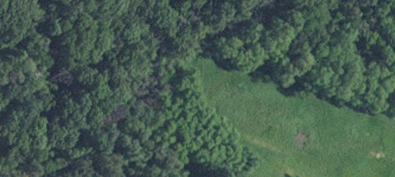 Afton, MN 55001