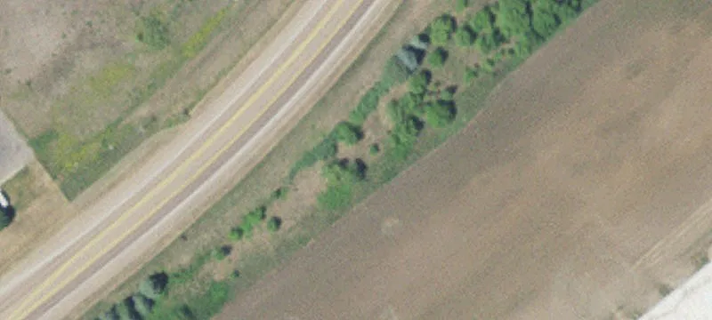 Chaska, MN 55318