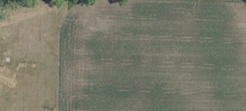 Cottage Grove, MN 55016