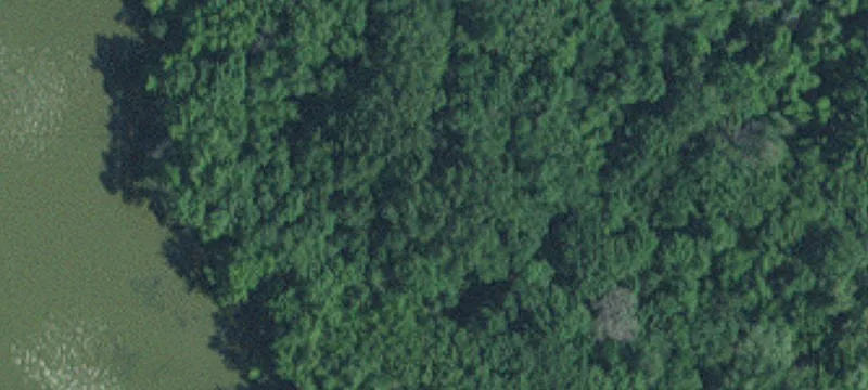 Inver Grove