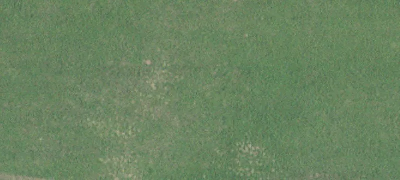 Afton, MN 55001