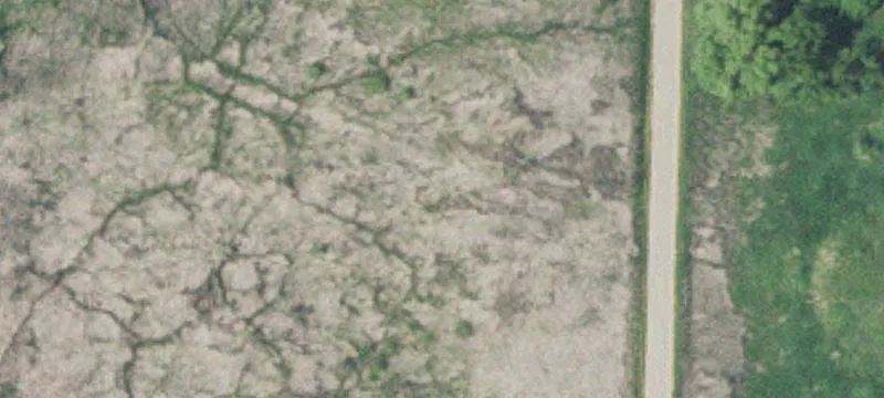 Long Lake, MN 55356