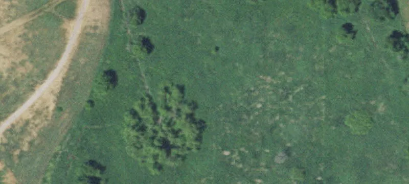 Dayton, MN 55327
