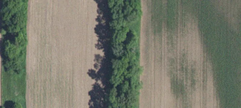 Cottage Grove, MN 55016