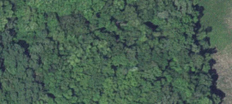Waconia, MN 55387