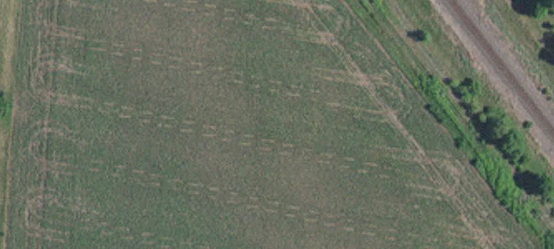 Cottage Grove, MN 55016