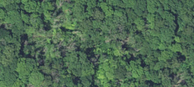 Maple Plain, MN 55359